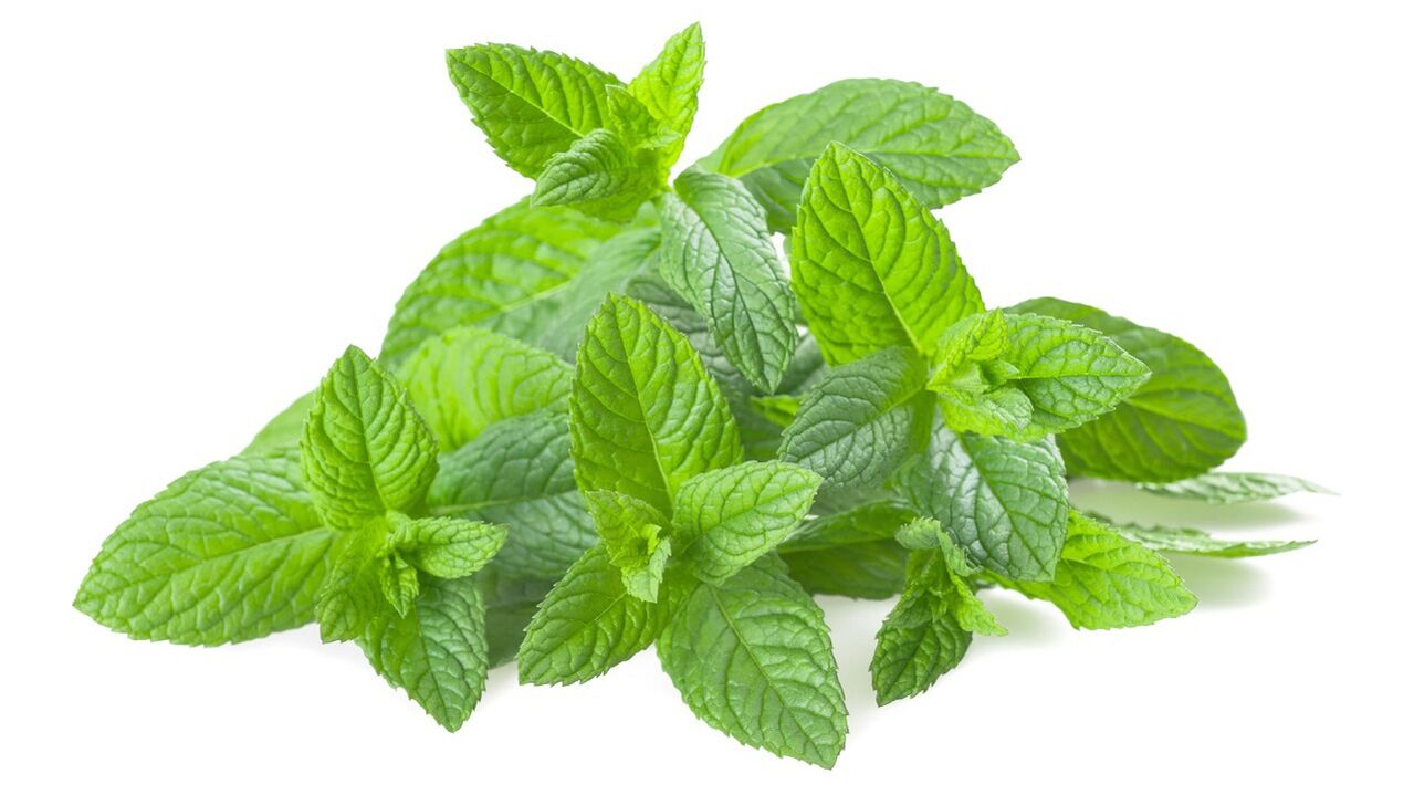 Εκχύλισμα Melissa σε γραφειρίνη